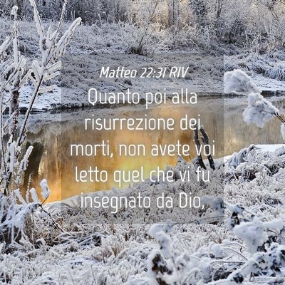 Picture 04 - Matteo 22:31 RIV - Quanto poi alla risurrezione dei morti, non avete - Bible Verse Picture
