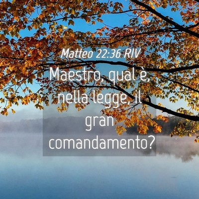 Picture 04 - Matteo 22:36 RIV - Maestro, qual è, nella legge, il gran - Bible Verse Picture