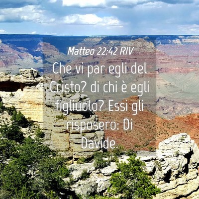 Picture 04 - Matteo 22:42 RIV - Che vi par egli del Cristo? di chi è egli - Bible Verse Picture