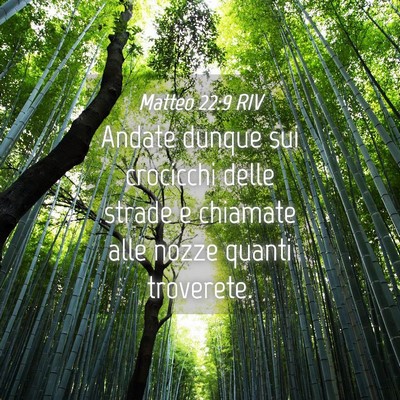 Picture 04 - Matteo 22:9 RIV - Andate dunque sui crocicchi delle strade e - Bible Verse Picture