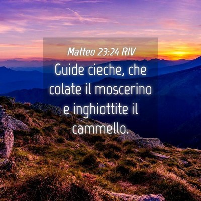 Picture 04 - Matteo 23:24 RIV - Guide cieche, che colate il moscerino e - Bible Verse Picture