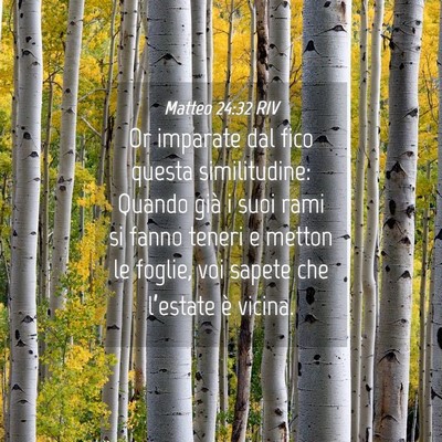 Picture 04 - Matteo 24:32 RIV - Or imparate dal fico questa similitudine: Quando - Bible Verse Picture