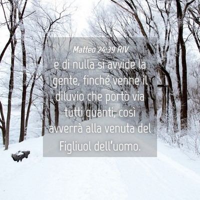 Picture 04 - Matteo 24:39 RIV - e di nulla si avvide la gente, finché venne il - Bible Verse Picture