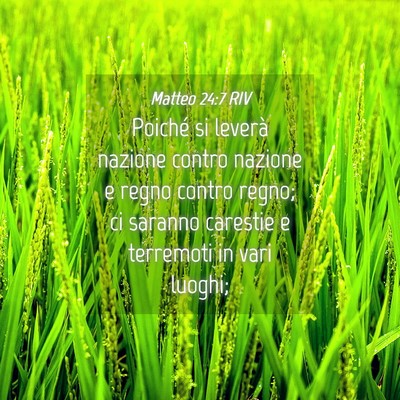 Picture 04 - Matteo 24:7 RIV - Poiché si leverà nazione contro nazione e regno - Bible Verse Picture