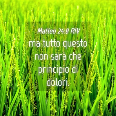 Picture 04 - Matteo 24:8 RIV - ma tutto questo non sarà che principio di - Bible Verse Picture