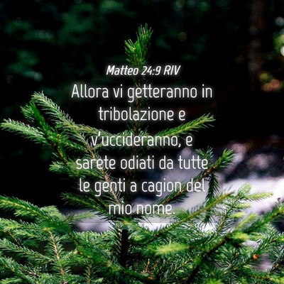 Picture 04 - Matteo 24:9 RIV - Allora vi getteranno in tribolazione e - Bible Verse Picture