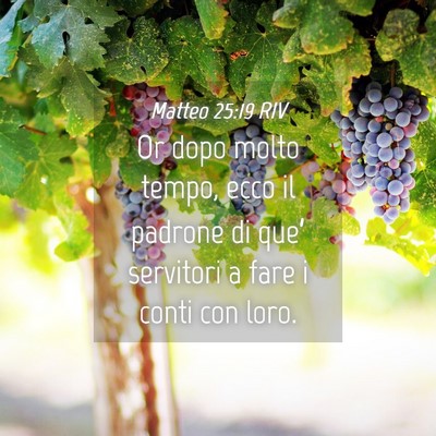 Picture 04 - Matteo 25:19 RIV - Or dopo molto tempo, ecco il padrone di que’ - Bible Verse Picture