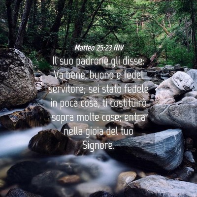 Picture 04 - Matteo 25:23 RIV - Il suo padrone gli disse: Va bene, buono e fedel - Bible Verse Picture