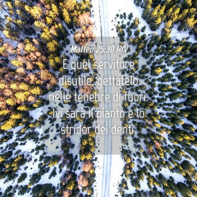 Picture 04 - Matteo 25:30 RIV - E quel servitore disutile, gettatelo nelle - Bible Verse Picture
