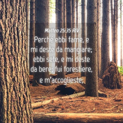 Picture 04 - Matteo 25:35 RIV - Perché ebbi fame, e mi deste da mangiare; ebbi - Bible Verse Picture