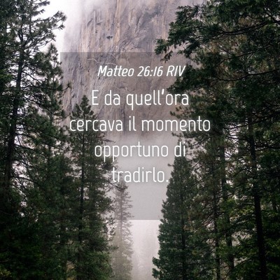 Picture 04 - Matteo 26:16 RIV - E da quell’ora cercava il momento opportuno di - Bible Verse Picture