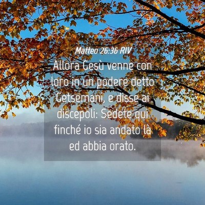 Picture 04 - Matteo 26:36 RIV - Allora Gesù venne con loro in un podere detto - Bible Verse Picture