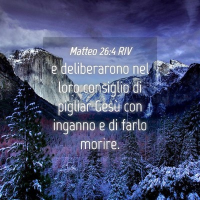 Picture 04 - Matteo 26:4 RIV - e deliberarono nel loro consiglio di pigliar - Bible Verse Picture