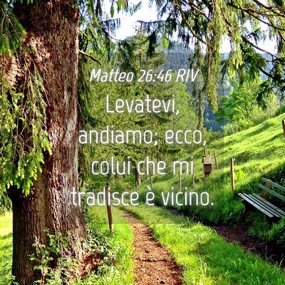 Picture 04 - Matteo 26:46 RIV - Levatevi, andiamo; ecco, colui che mi tradisce è - Bible Verse Picture