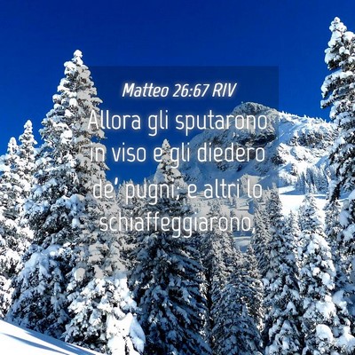 Picture 04 - Matteo 26:67 RIV - Allora gli sputarono in viso e gli diedero de’ - Bible Verse Picture