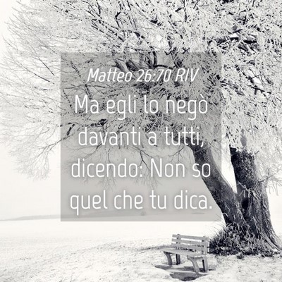 Picture 04 - Matteo 26:70 RIV - Ma egli lo negò davanti a tutti, dicendo: Non so - Bible Verse Picture