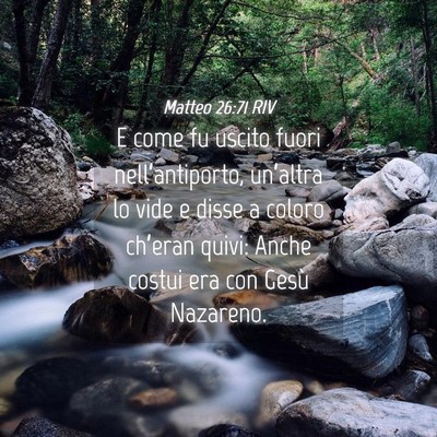Picture 04 - Matteo 26:71 RIV - E come fu uscito fuori nell’antiporto, - Bible Verse Picture