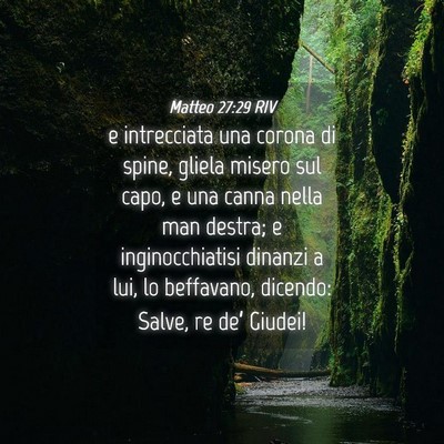 Picture 04 - Matteo 27:29 RIV - e intrecciata una corona di spine, gliela misero - Bible Verse Picture