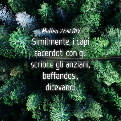 Picture 04 - Matteo 27:41 RIV - Similmente, i capi sacerdoti con gli scribi e gli - Bible Verse Picture