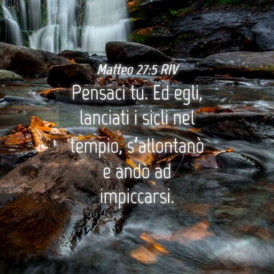 Picture 04 - Matteo 27:5 RIV - Pensaci tu. Ed egli, lanciati i sicli nel tempio, - Bible Verse Picture
