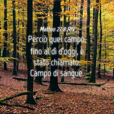 Picture 04 - Matteo 27:8 RIV - Perciò quel campo, fino al dì d’oggi, è - Bible Verse Picture