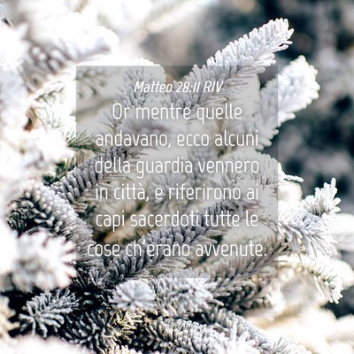 Picture 04 - Matteo 28:11 RIV - Or mentre quelle andavano, ecco alcuni della - Bible Verse Picture