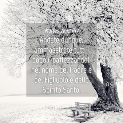 Picture 04 - Matteo 28:19 RIV - Andate dunque, ammaestrate tutti i popoli, - Bible Verse Picture