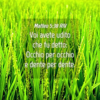 Picture 04 - Matteo 5:38 RIV - Voi avete udito che fu detto: Occhio per occhio e - Bible Verse Picture