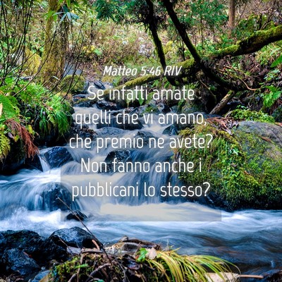 Picture 04 - Matteo 5:46 RIV - Se infatti amate quelli che vi amano, che premio - Bible Verse Picture