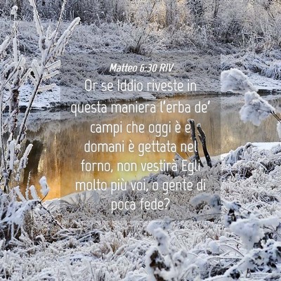 Picture 04 - Matteo 6:30 RIV - Or se Iddio riveste in questa maniera l’erba - Bible Verse Picture