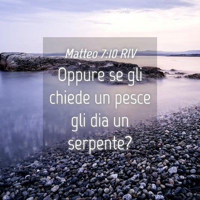 Picture 04 - Matteo 7:10 RIV - Oppure se gli chiede un pesce gli dia un - Bible Verse Picture