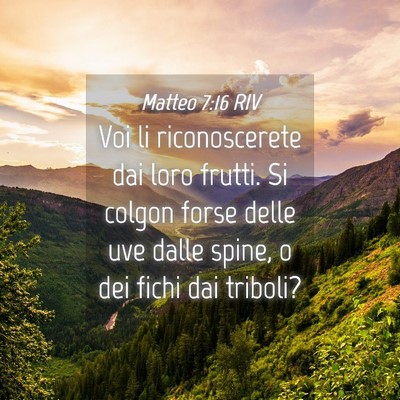 Picture 04 - Matteo 7:16 RIV - Voi li riconoscerete dai loro frutti. Si colgon - Bible Verse Picture