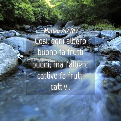 Picture 04 - Matteo 7:17 RIV - Così, ogni albero buono fa frutti buoni; ma - Bible Verse Picture
