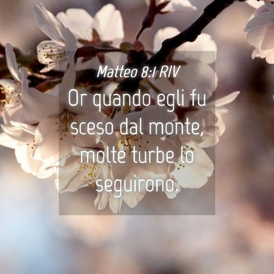 Picture 04 - Matteo 8:1 RIV - Or quando egli fu sceso dal monte, molte turbe lo - Bible Verse Picture