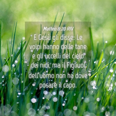 Picture 04 - Matteo 8:20 RIV - E Gesù gli disse: Le volpi hanno delle tane e - Bible Verse Picture