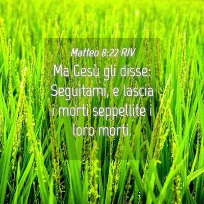 Picture 04 - Matteo 8:22 RIV - Ma Gesù gli disse: Seguitami, e lascia i morti - Bible Verse Picture