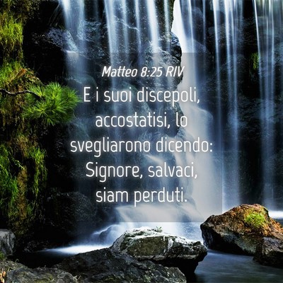Picture 04 - Matteo 8:25 RIV - E i suoi discepoli, accostatisi, lo svegliarono - Bible Verse Picture