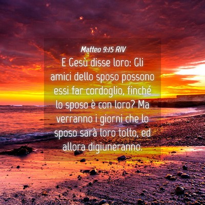 Picture 04 - Matteo 9:15 RIV - E Gesù disse loro: Gli amici dello sposo possono - Bible Verse Picture