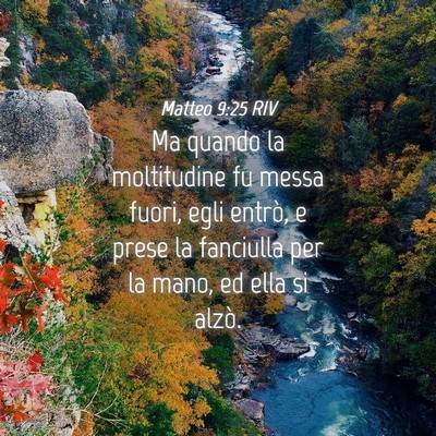 Picture 04 - Matteo 9:25 RIV - Ma quando la moltitudine fu messa fuori, egli - Bible Verse Picture