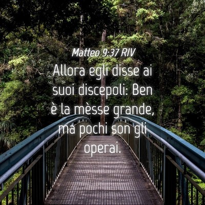 Picture 04 - Matteo 9:37 RIV - Allora egli disse ai suoi discepoli: Ben è la - Bible Verse Picture