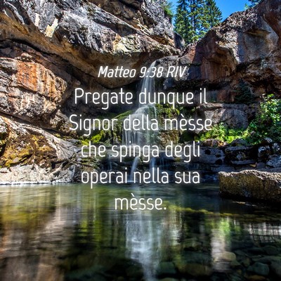 Picture 04 - Matteo 9:38 RIV - Pregate dunque il Signor della mèsse che spinga - Bible Verse Picture