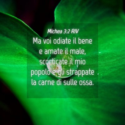 Picture 04 - Michea 3:2 RIV - Ma voi odiate il bene e amate il male, scorticate - Bible Verse Picture