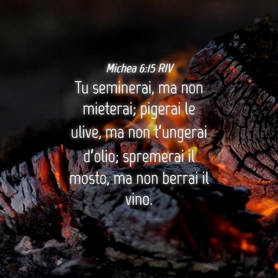 Picture 04 - Michea 6:15 RIV - Tu seminerai, ma non mieterai; pigerai le ulive, - Bible Verse Picture