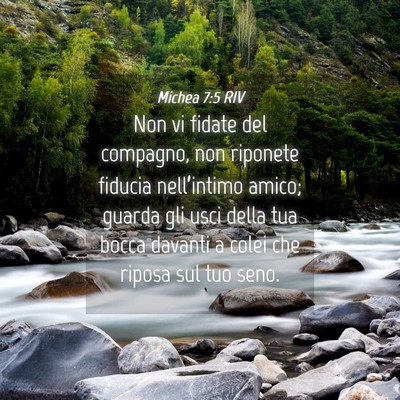 Picture 04 - Michea 7:5 RIV - Non vi fidate del compagno, non riponete fiducia - Bible Verse Picture