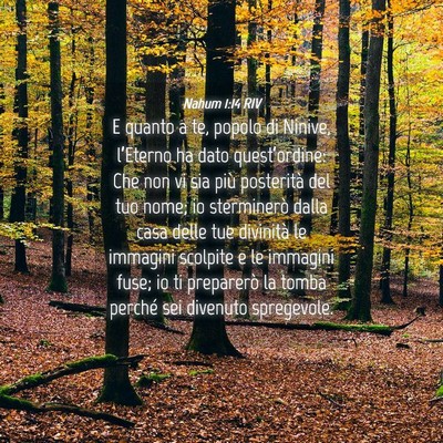 Picture 04 - Nahum 1:14 RIV - E quanto a te, popolo di Ninive, l’Eterno ha - Bible Verse Picture