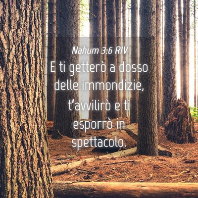 Picture 04 - Nahum 3:6 RIV - E ti getterò a dosso delle immondizie, - Bible Verse Picture