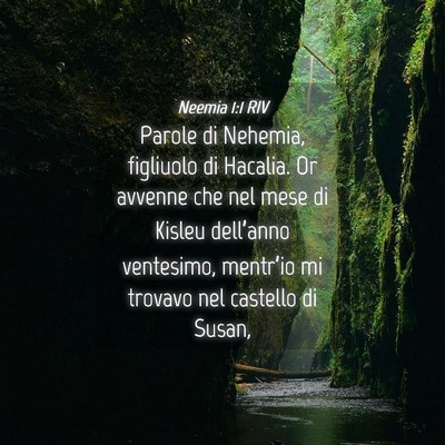 Picture 04 - Neemia 1:1 RIV - Parole di Nehemia, figliuolo di Hacalia. Or - Bible Verse Picture