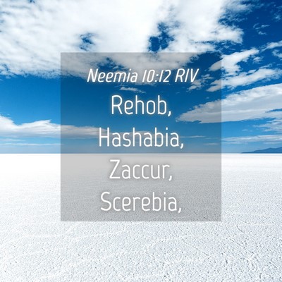 Picture 04 - Neemia 10:12 RIV - Rehob, Hashabia, Zaccur, - Bible Verse Picture