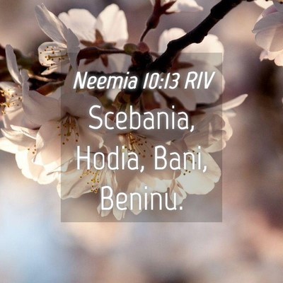 Picture 04 - Neemia 10:13 RIV - Scebania, Hodia, Bani, - Bible Verse Picture