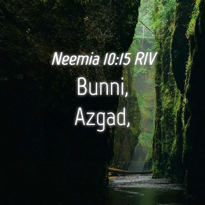 Picture 04 - Neemia 10:15 RIV - Bunni, - Bible Verse Picture
